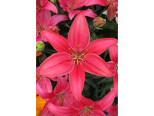 23,92���. ����� ������ ����(��� 5 ��. ���������� �� 2��.).jpg