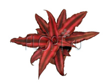 ���������� ��� ���� 5�10. 114,5 ���.jpg