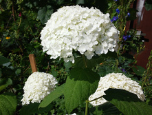 20160723 135324.jpg