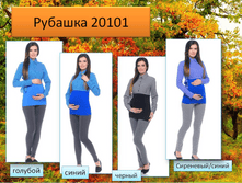 20101 �������