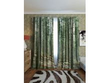 ������ ���.jpg