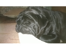 WP 20161018 15 16 12 Pro.jpg