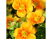 122���. �������� ������������� ����� �����.jpg