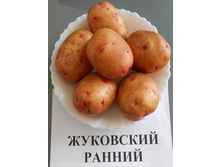 ��������� ������ (�����) 42���. �� 1��.jpg