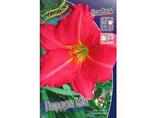 60,8���. �������� ������ ��(�������� ���� �� 2 ��., ����������� ����� 1��.).jpg