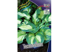 213,2���. ����� ���������(�������� ���� �� 1 ��., ����������� ����� 1��.).jpg