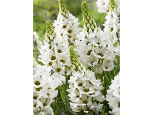 16,56���. ����������� ����� �������(��� 7 ��. ���������� �� 2 ��.).jpg