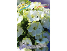 105���. ����� ���� ������������(�������� ���� �� 2 ��., ����������� ����� 1��.).jpg