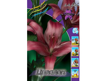 18,06���. ����� �������(��� 7 ��. ���������� �� 2��.).jpg