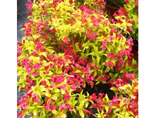 148���. ������� ����� �������.jpg