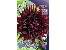 101,5���. �������� ������ �����-�(�������� ���� �� 1 ��., ����������� ����� 1��.).jpg