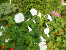 DSCN2145.JPG