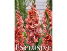 9,11���. ��������� ���(���������� ������ ������ ���������� �� 8 ��.).jpg