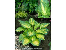 227,4���. ����� �������� ������ �����(�������� ���� �� 1 ��., ����������� ����� 1��.)���16.jpg