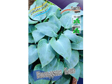 70,25���. ����� �������� ���(�������� ���� �� 2 ��., ����������� ����� 1��.).jpg