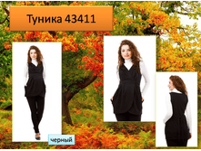 43411 ������