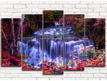 ������� � ���� 5-1.jpg