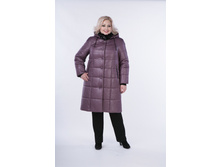 ���� �����.JPG