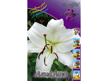 20,59���. ����� ���� ���(��� 7 ��. ���������� �� 2��.).jpg