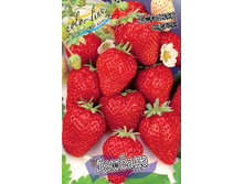 23,36���. ��������� ������� �������(���������� ������ ������ ����������. � �������� 5 ��.).jpg