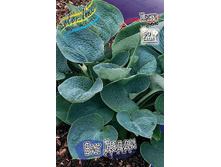 78,15���. ����� ��� �����(�������� ���� �� 2 ��., ����������� ����� 1��.).jpg