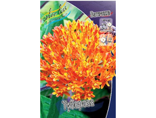 22,87���. �������� ��������(�������� ���� �� 3 ��., ����������� ����� 1��.).jpg