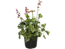 ������� �������-������� ��������� 15�35. 200 ���.jpg