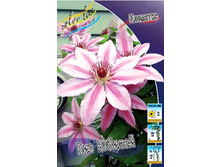 124,3���. �������� ��� ������(�������� ���� �� 2 ��., ����������� ����� 1��.).jpg