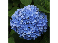 141���. ��������� �������������� ������ �����.jpg