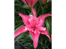 36,58���. ����� ����� �������(��� 5 ��. ���������� �� 2��.).jpg