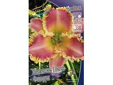 180���. �������� ������� ���� �����(�������� ���� �� 1 ��., ����������� ����� 1��.).jpg