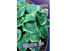 59,2���. ����� �������� ���(�������� ���� �� 2 ��., ����������� ����� 1��.).jpg