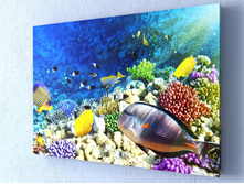 ��������� ��� 1-1.jpg