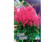 78,15���. �������� ���� �����(�������� ���� �� 2 ��., ����������� ����� 1��.).jpg