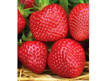 30,48���. ��������� ������� ��������(���������� ������ ������ ����������. � �������� 5 ��.).jpg