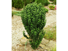 143���. ���� ������� ���������.jpg