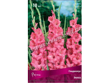 ��������� �����.jpg