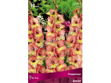 ��������� �����.jpg