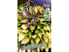 124,7���. ����� ���� �������(�������� ���� �� 1 ��., ����������� ����� 1��.).jpg