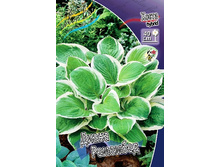 85,2���. ����� ����� ��������(�������� ���� �� 1 ��., ����������� ����� 1��.).jpg