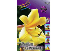 39,96���. ����� ������ ��������(��� 5 ��. ���������� �� 2��.).jpg