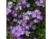 �������� �����£���-251.jpg