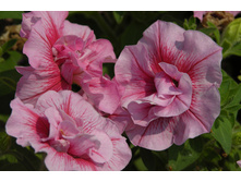 �. ������� ��� ��������� ������� ���. ����.JPG