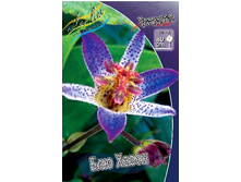 78,15���. ��������� ��� �����(�������� ���� �� 2 ��., ����������� ����� 1��.).jpg