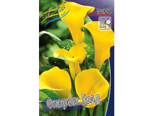 66,8���. ����� ������� ����(�������� ���� �� 2 ��., ����������� ����� 1��.).jpg