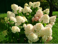 ��������� ����������� ������� ������ �1,5-263�.jpg