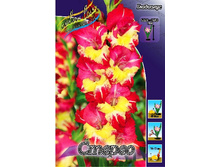 11,2���. ��������� ������(���������� �� ����� �������� �� 7��.).jpg