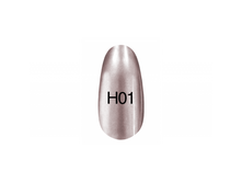 H01.png