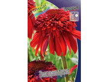 243,2���. �������� ����������(�������� ���� �� 1 ��., ����������� ����� 1��.).jpg