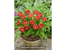 86,05���. �������� ������ ����� ������(�������� ���� �� 2 ��., ����������� ����� 1��.)���16.jpg